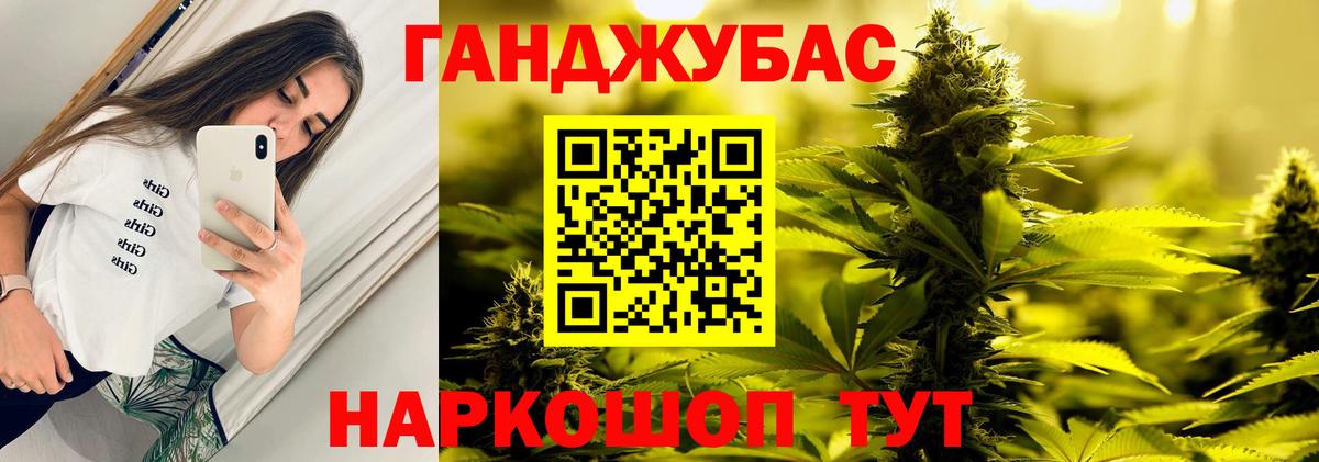 Конопля планчик Дубна